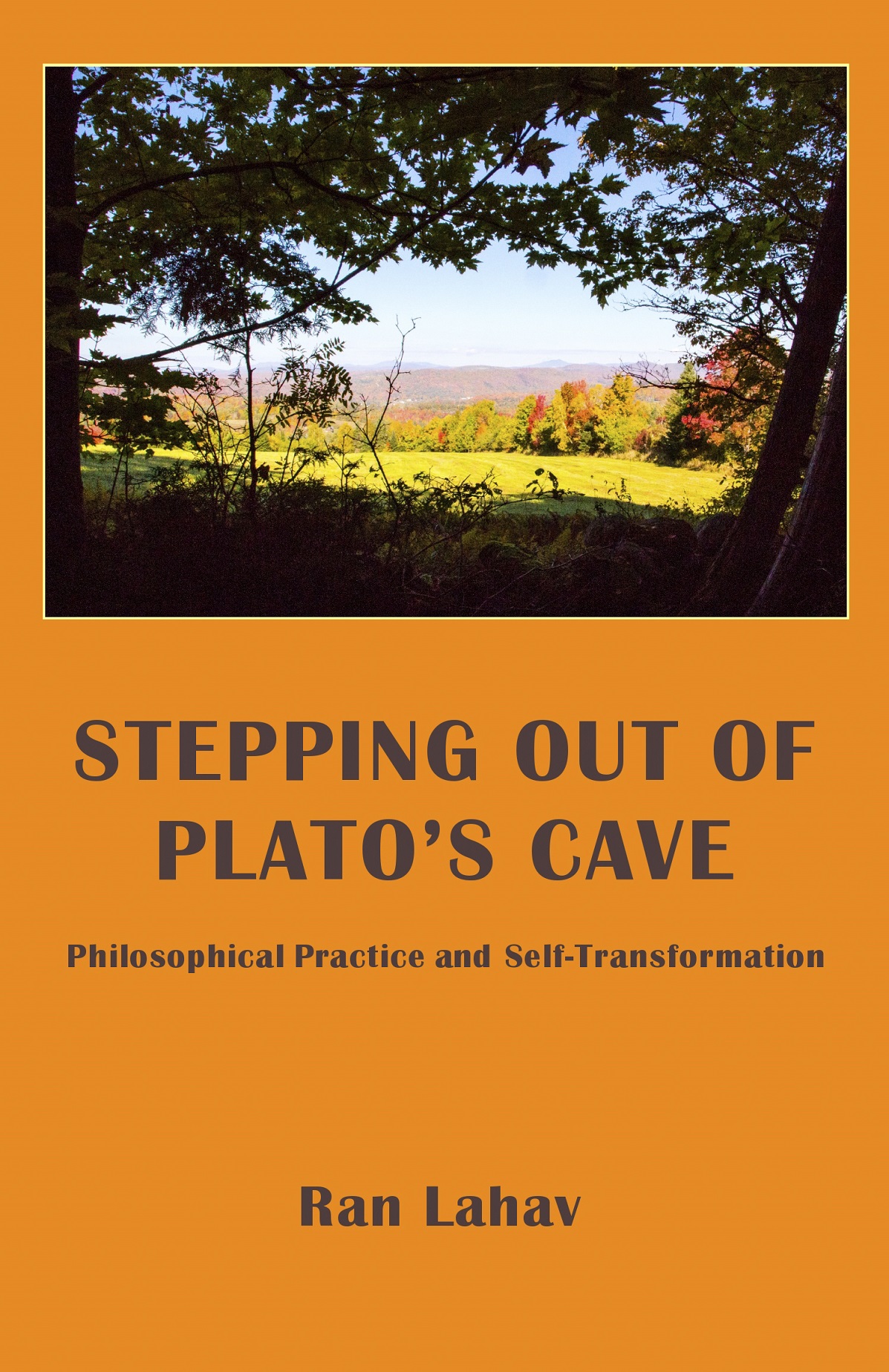 Stepping out Cover 4.5small