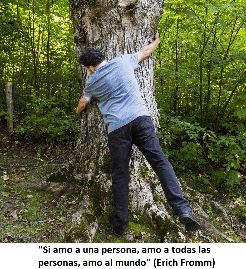 AmorHuggingatreeFrommSpanish