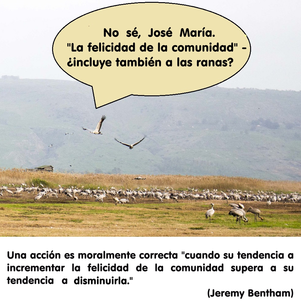 BenthamCorrrectoAves