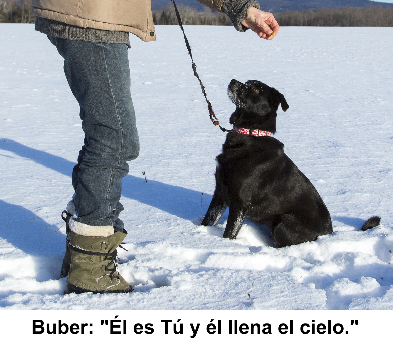 Buber you fills the sky Castellano