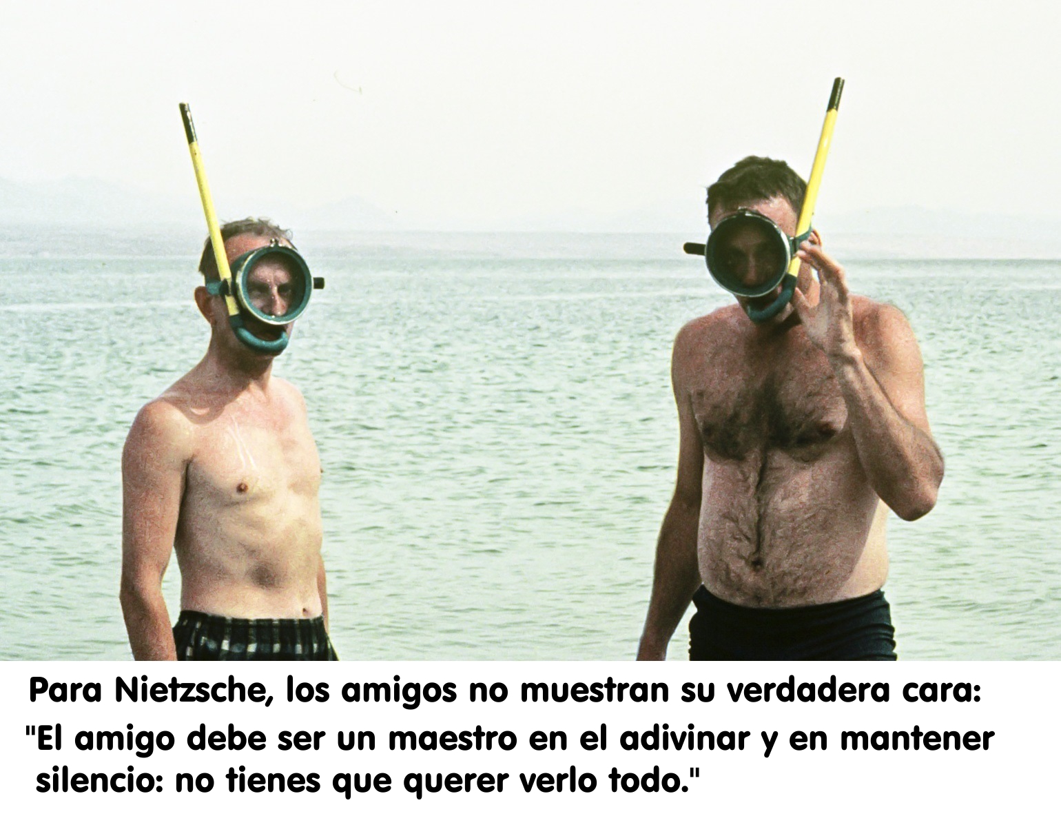NietzscheAmigos Mascaras