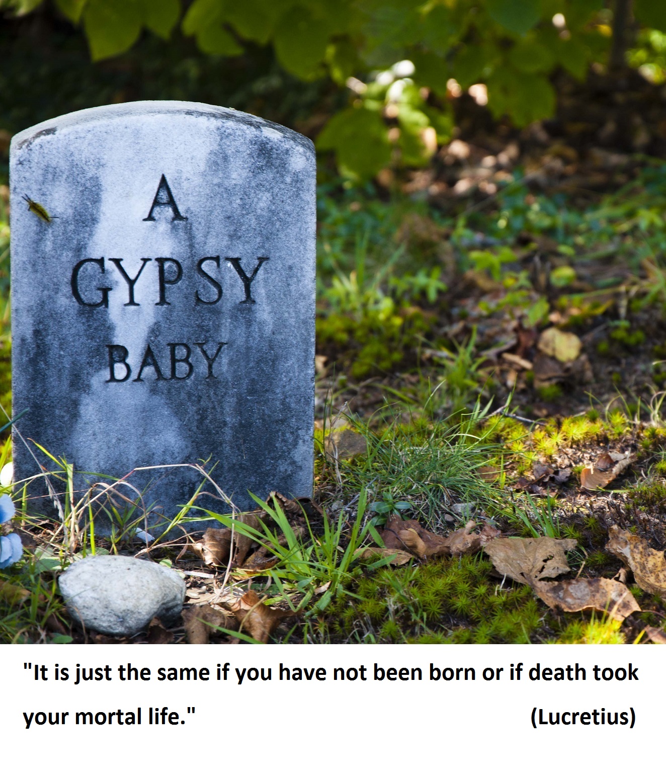 LucretiusGypsybaby