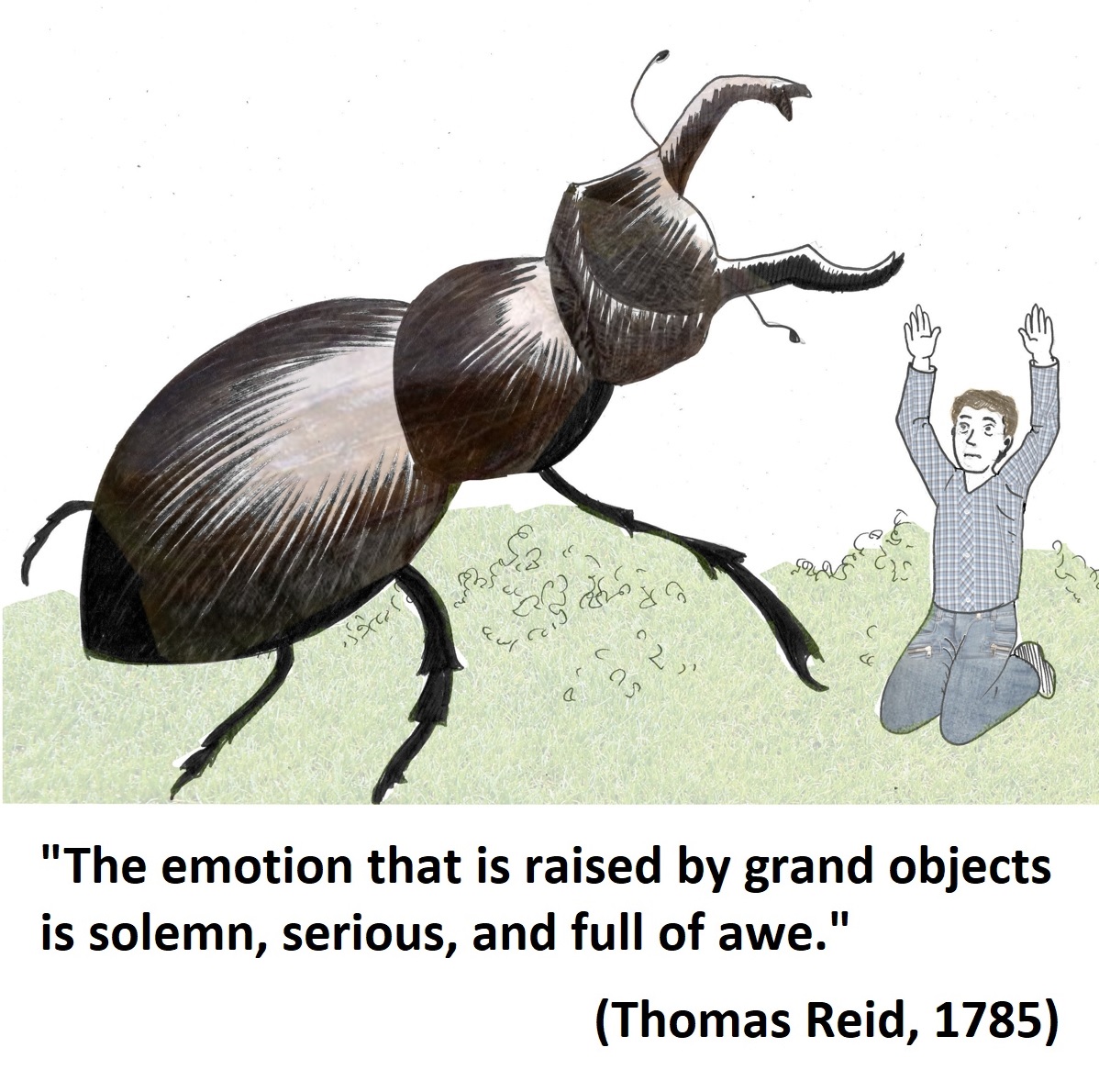 Reid Grandeur