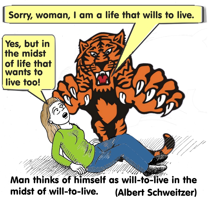 SchweitzerTiger2