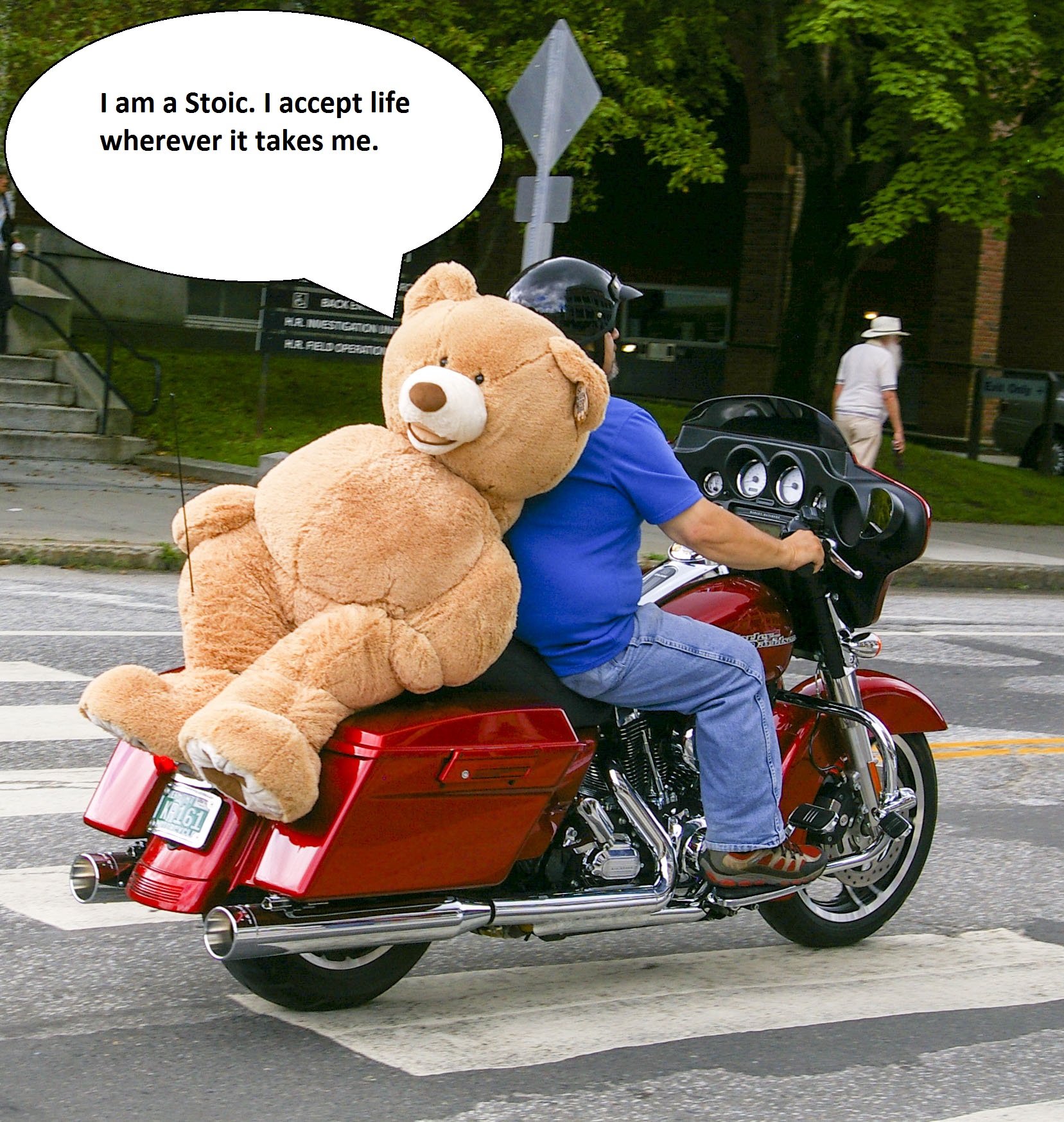 SenecaBear