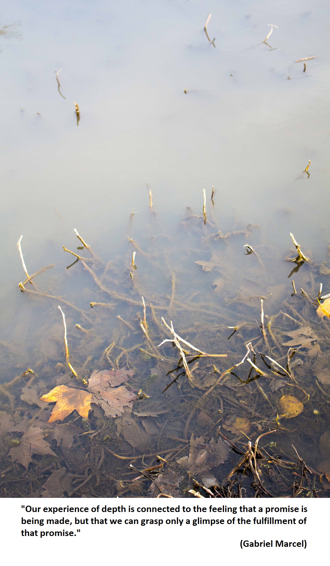Marcel depth into pond