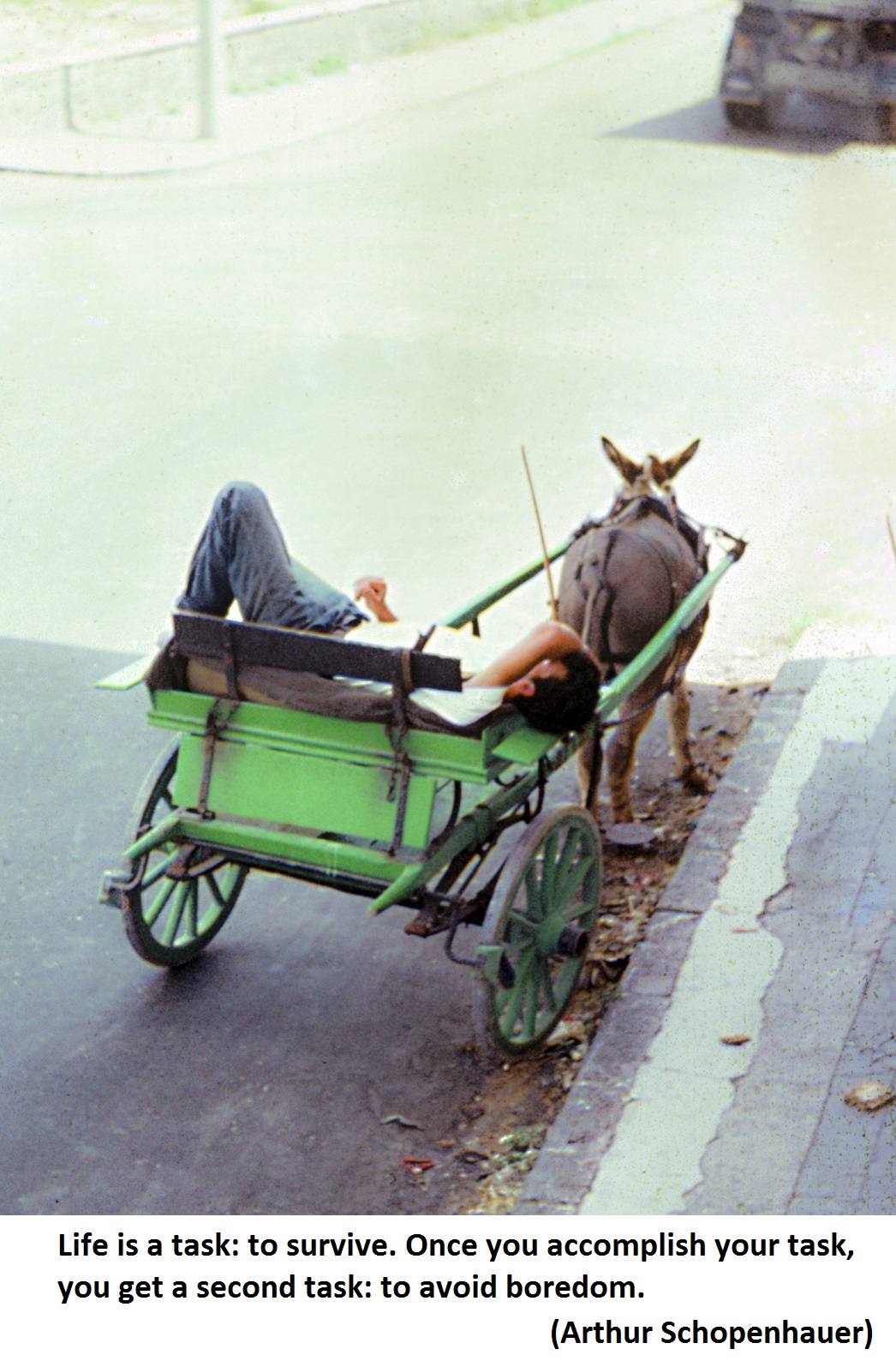 Boy sleeping on cart Schopenhauer