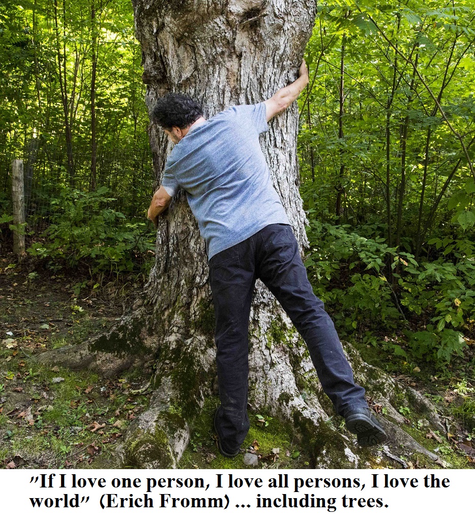 LoveJBhuggingatreeFromm