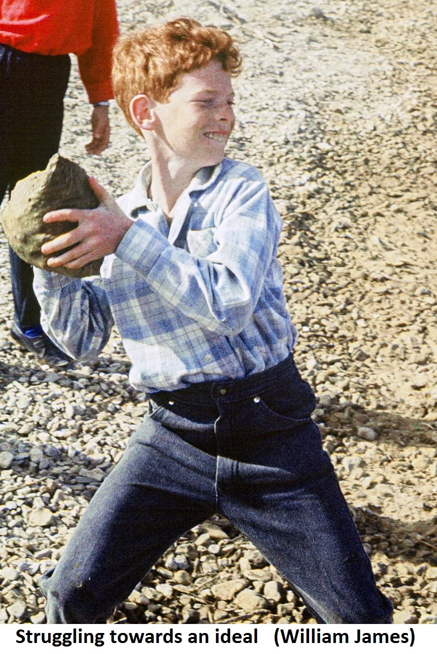 TowardsAnidealJames